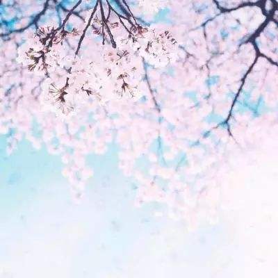 醉修仙奇录手游下载