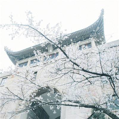 暗黑弑龙者手游正式版下载