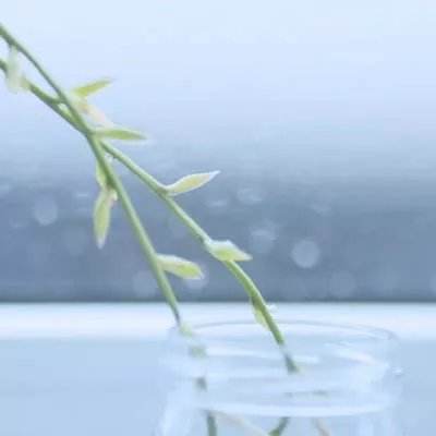 战舰风云手游官方版下载